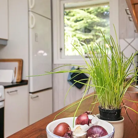 5 Person In Tranekaer-by Traum *