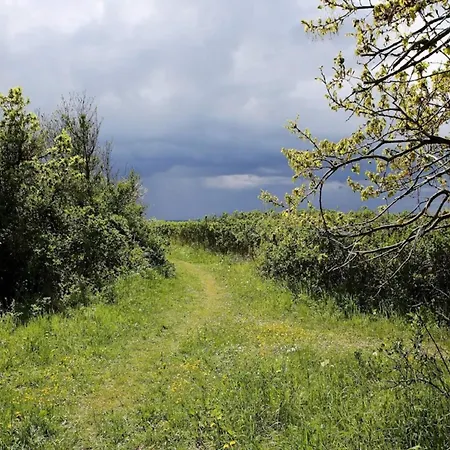 5 Person In Tranekaer-by Traum Semesterbostad *